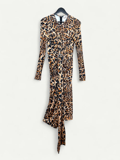 Animal Pattern long sleeve Dress