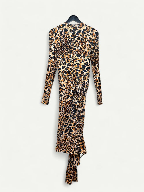 Animal Pattern long sleeve Dress