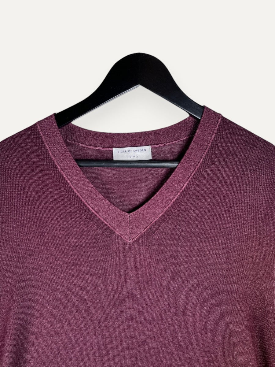 Bordeaux V-Neck Knitwear