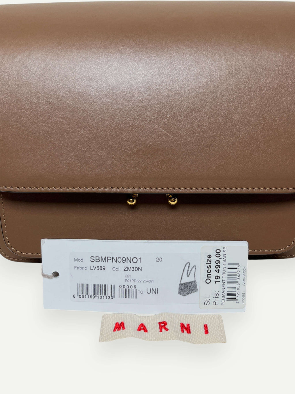 Brown Medium Trunk Bag