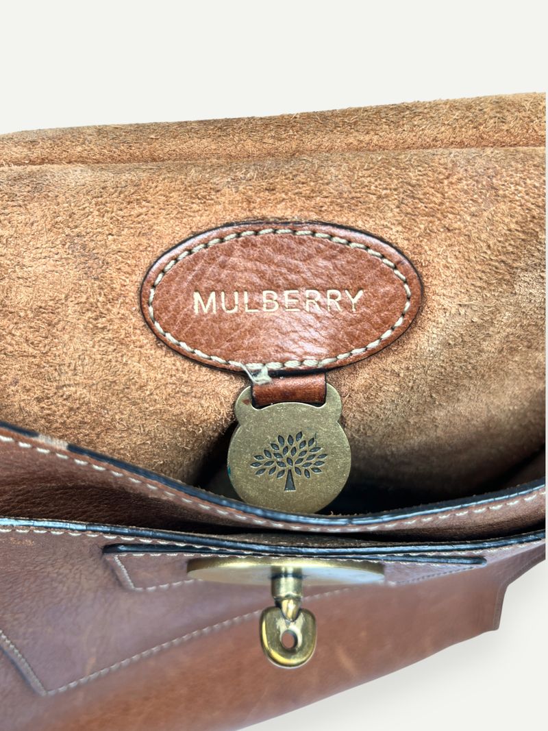 Antony Brown Crossbody Bag